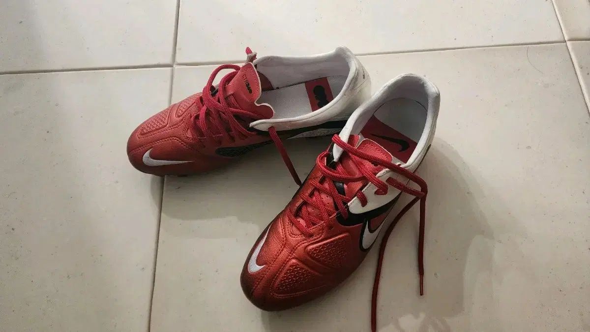 CTR360 トレクワティスター