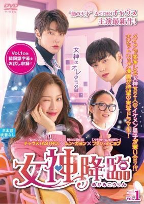 【中古】 女神降臨 (16巻セット) 【字幕】 [レンタル落ち] [DVD]