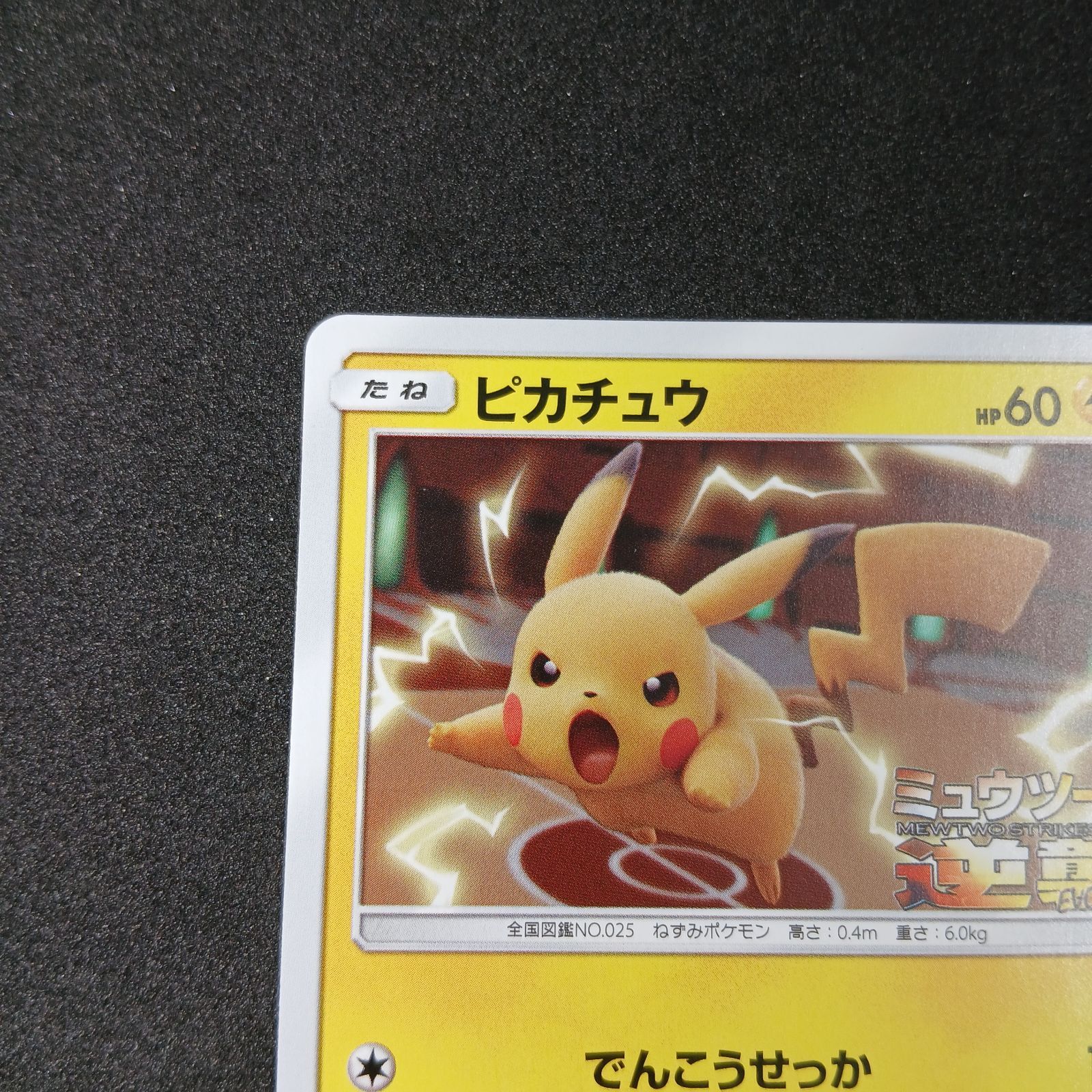 ピカチュウ：プロモ　367 ピカチュウ P [SM-P 367](プロモーションカード「スペシャルジャンボ