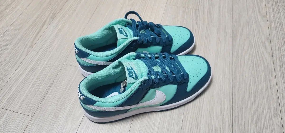 ナイキ ダンク ロー Geode Teal 260mm (W) / DD1503-301