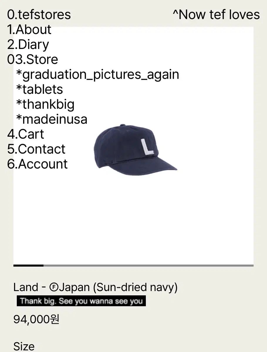 テフ STORE ベースボールキャップ