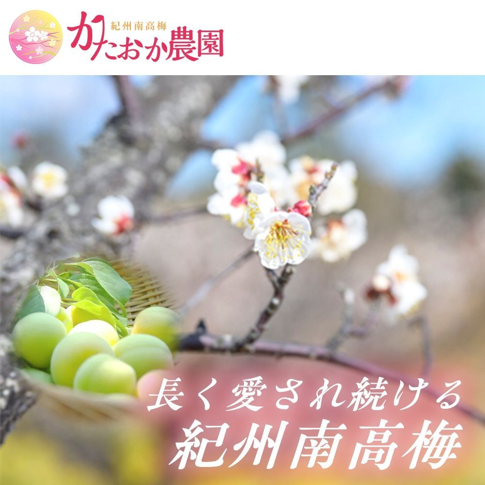 追熟梅(梅干し用)秀品A級3L 5kg 紀州南高梅 - メルカリ