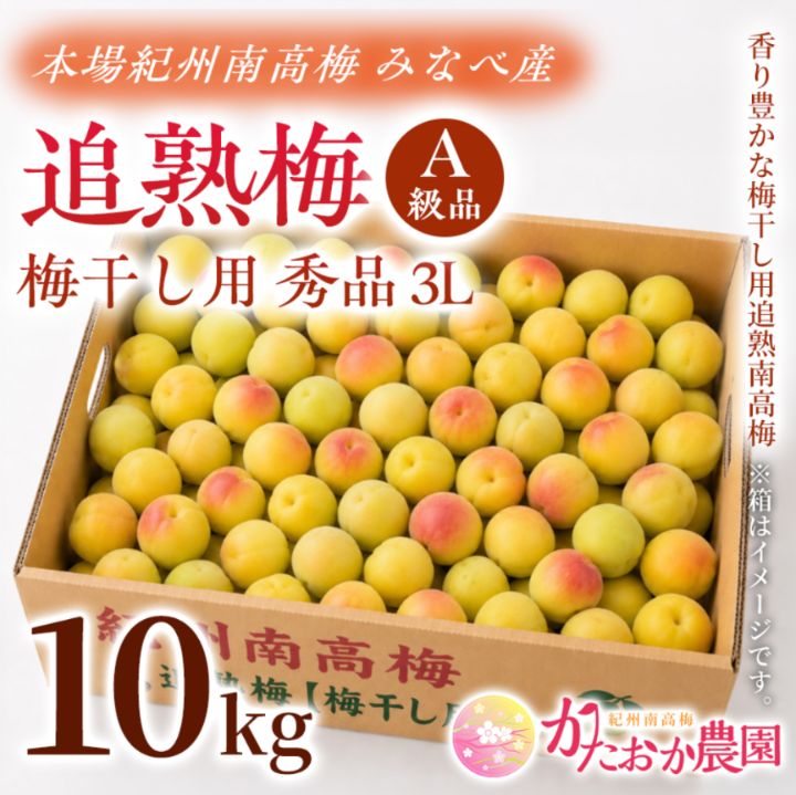 【クール便発送！】 《追熟梅（梅干し用）》秀品A級3L10kg