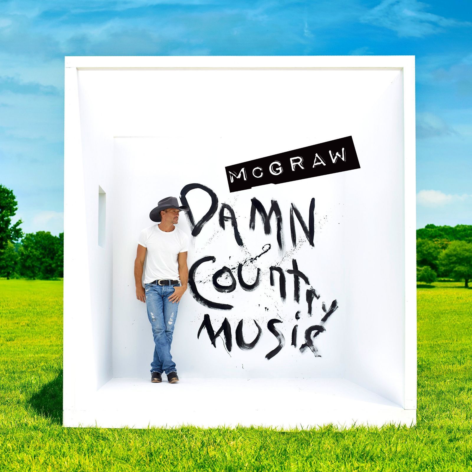 【CD】Damn Country Music