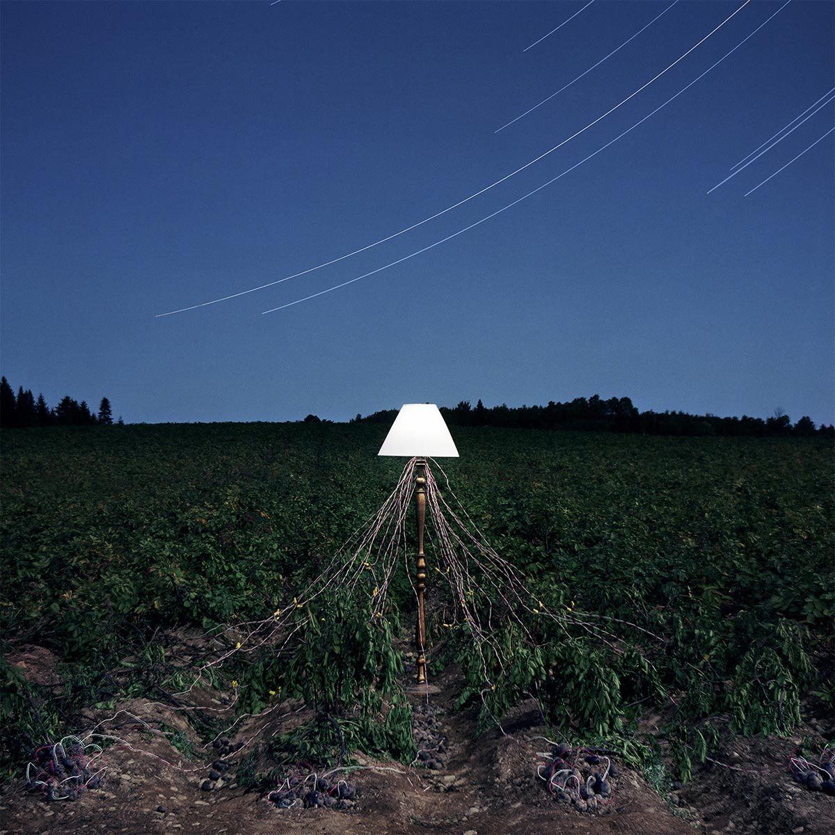 【CD】Escapements