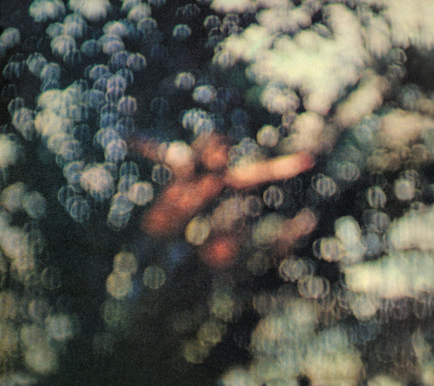 【CD】Obscured by Clouds