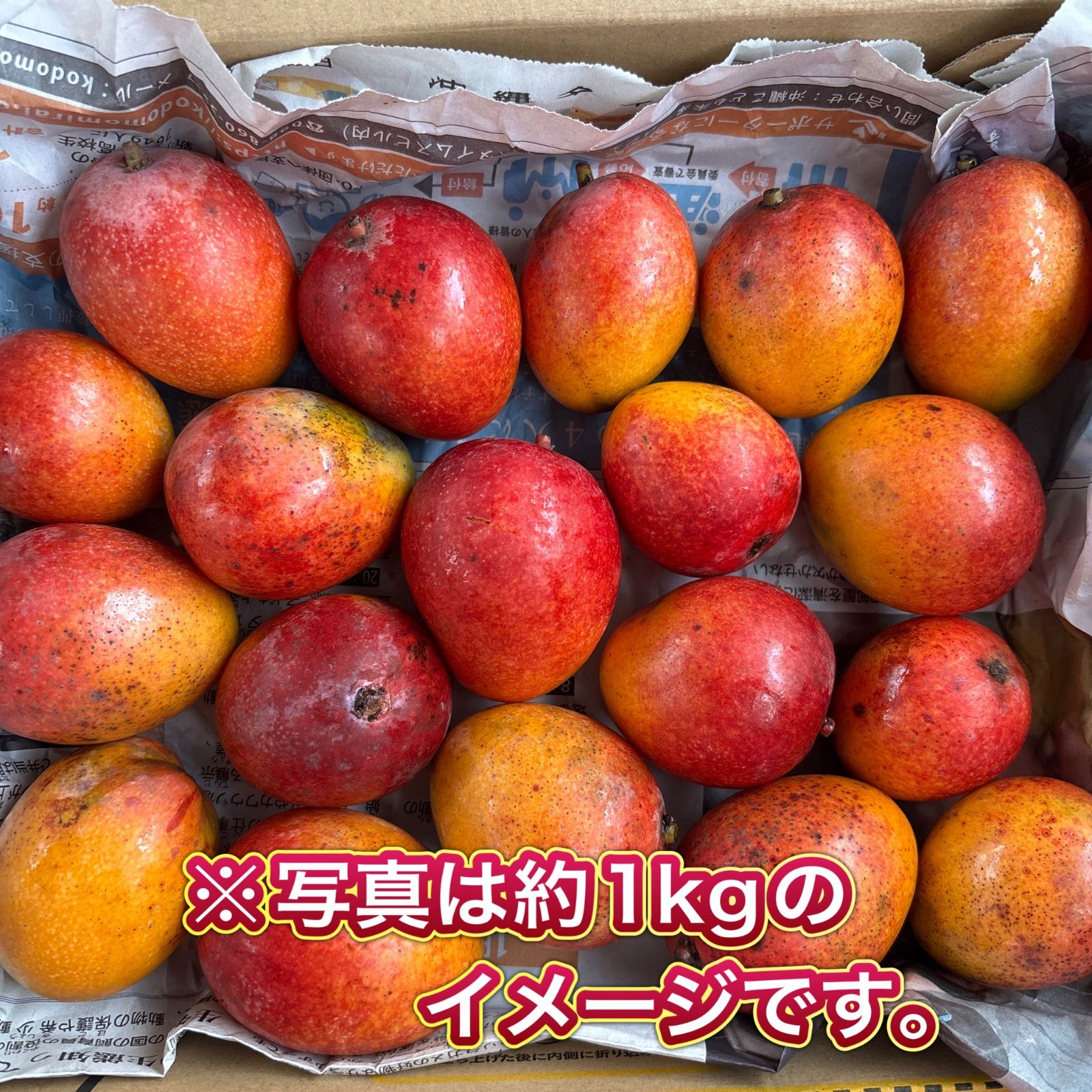 希少！沖縄県産アップルミニマンゴー約2kg 完熟 - メルカリ