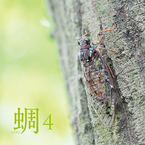 【CD】蜩(ヒグラシ)4