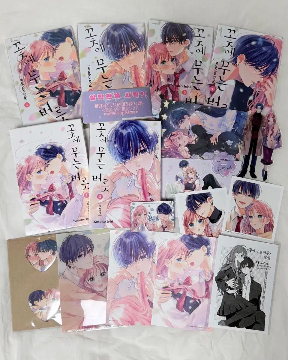 花に 大根 癖 1 - 4 巻 特装版 初回版 アニメイト 漫画 純情漫画