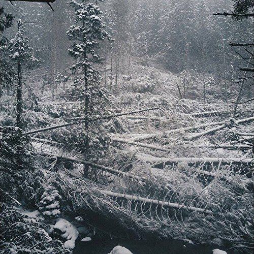 【CD】Toska 9,160円