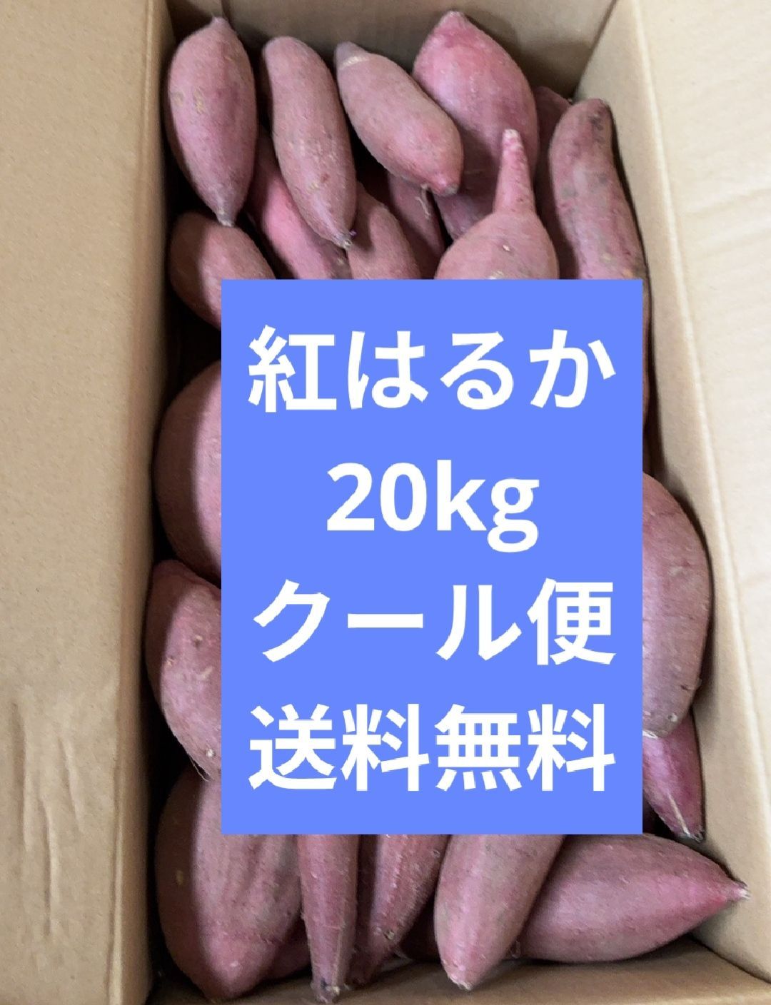 お得!紅はるか20kg サツマイモ 野菜 訳あり業務用 家庭用 支援