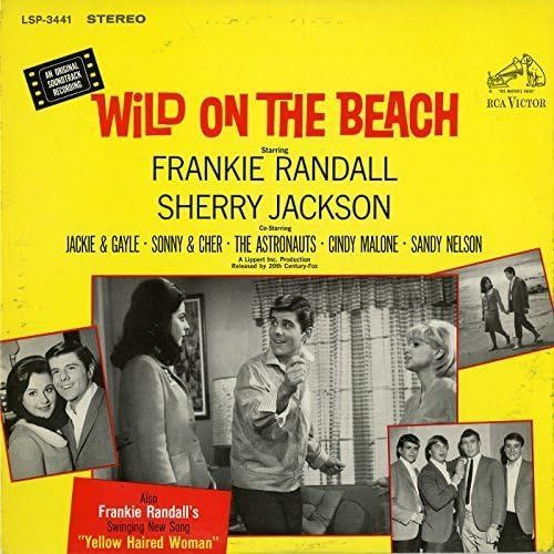 【CD】Wild On the Beach (Original Soundtrack)