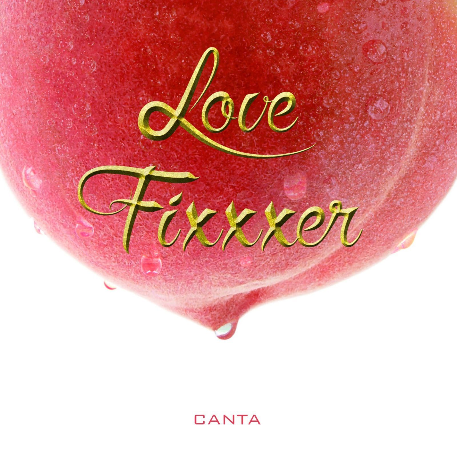 【CD】LOVE FIXXXER