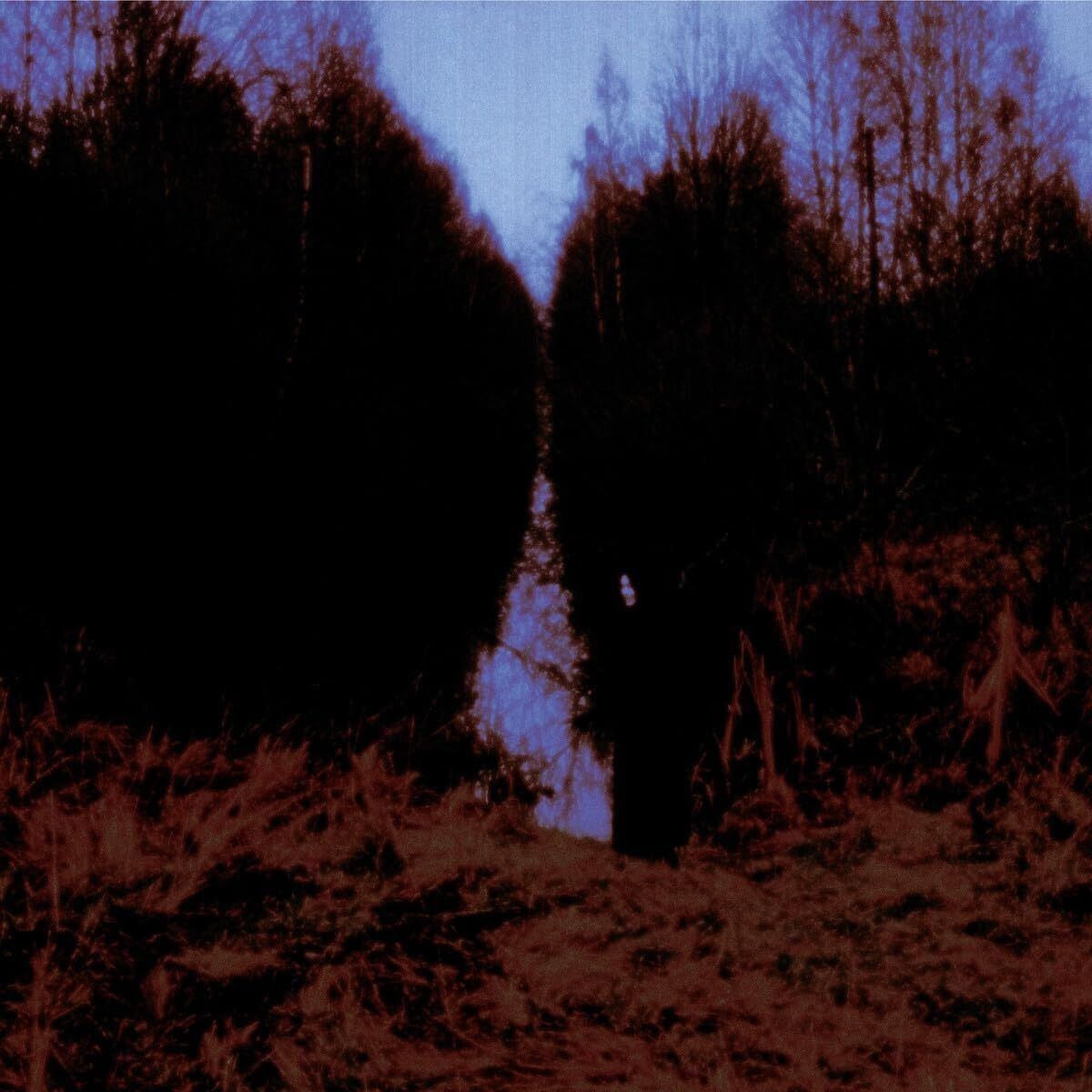【CD】MY ARMS ARE YOUR HEARS
