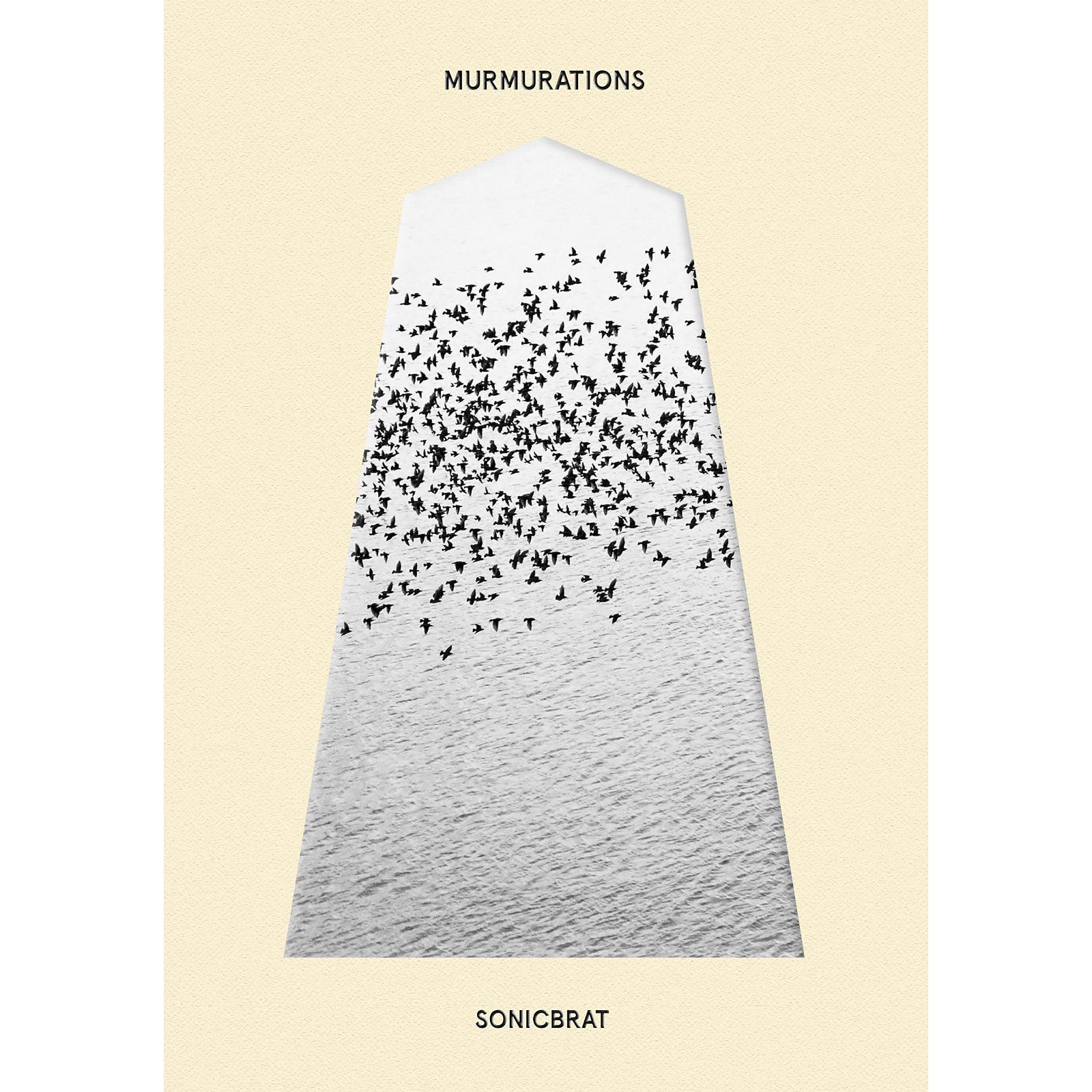 【CD】MURMURATIONS