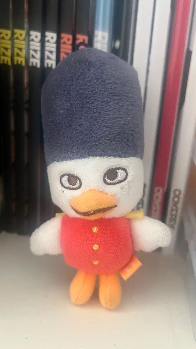 똘병이들 販売します