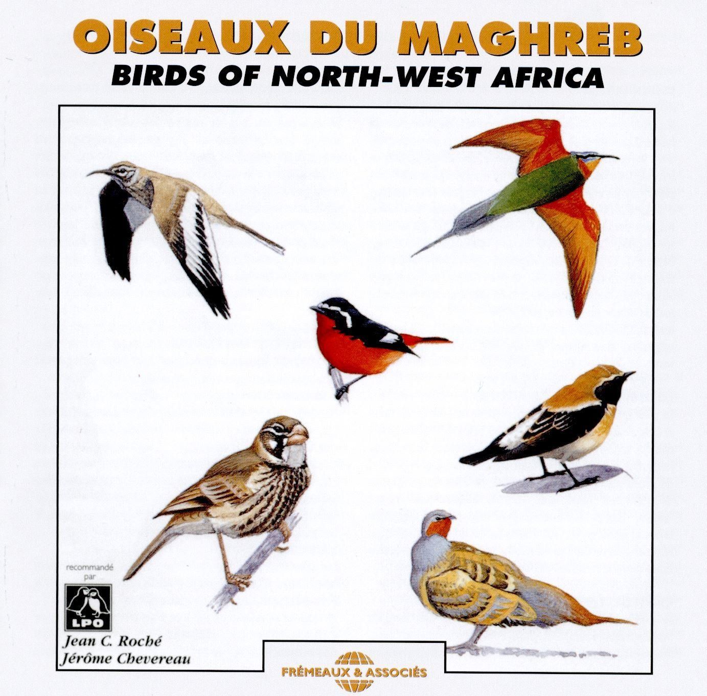 【CD】Oiseaux Du Maghreb