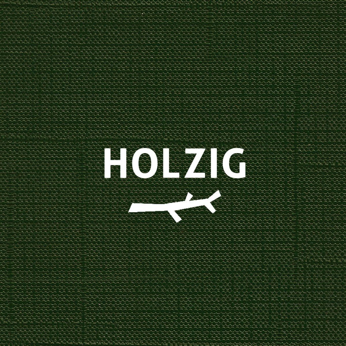 【CD】HOLZIG/SPECIAL AJAZZ E