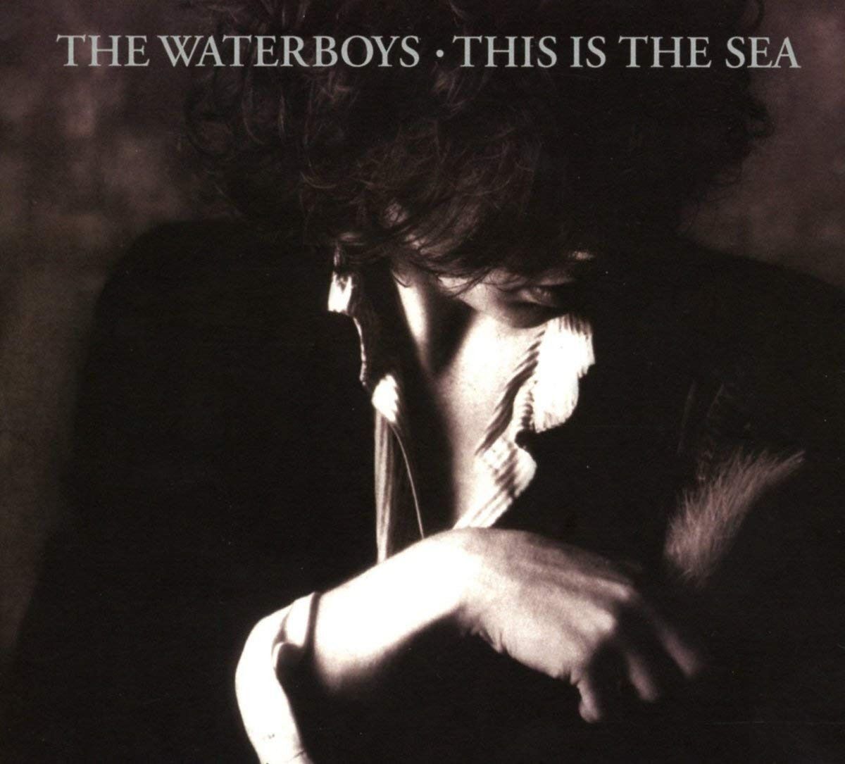 【CD】This Is The Sea: Collectors Edition