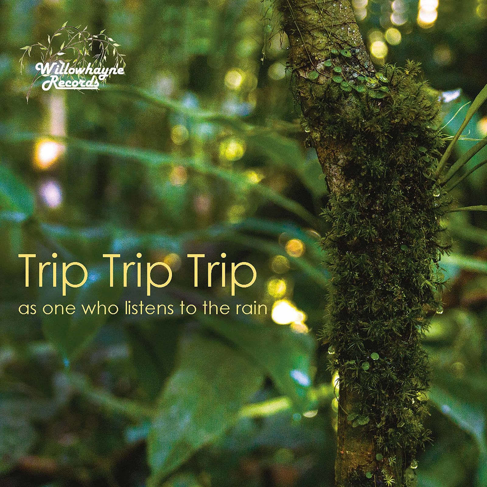 【CD】As One Who Listens to the Rain