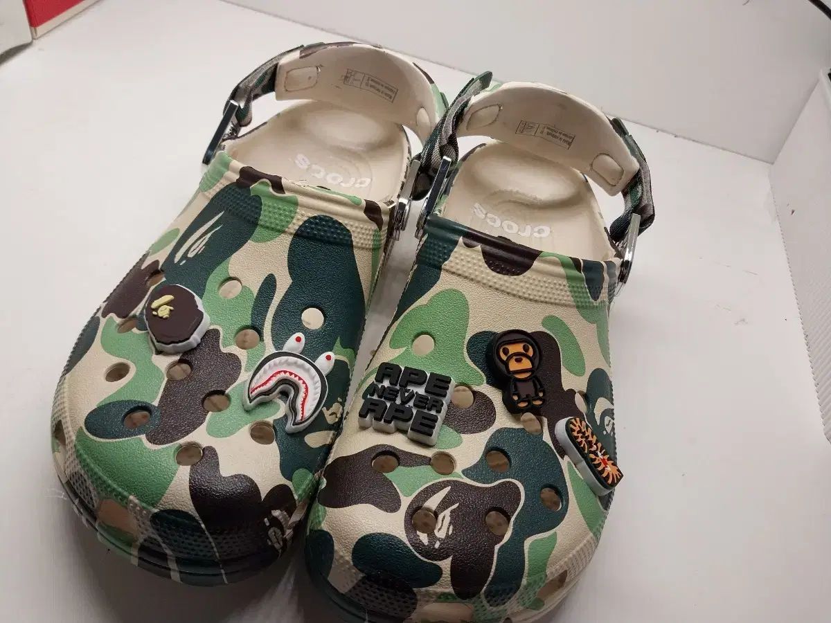 アベイシングエイプ クロックス コラボ 緑色系 (新品)
