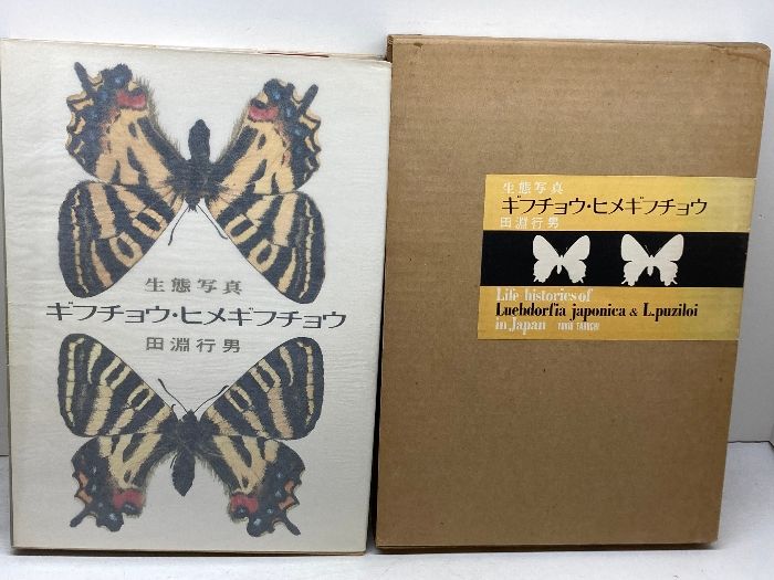 ギフチョウ・ヒメギフチョウ　生態写真 　田淵行男 　講談社