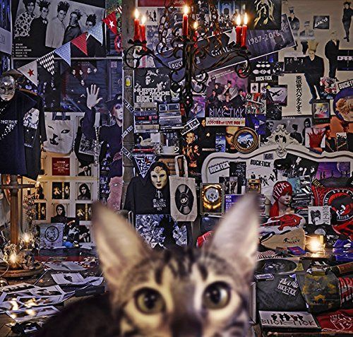 【CD】CATALOGUE 1987-2016 (初回限定盤A)
