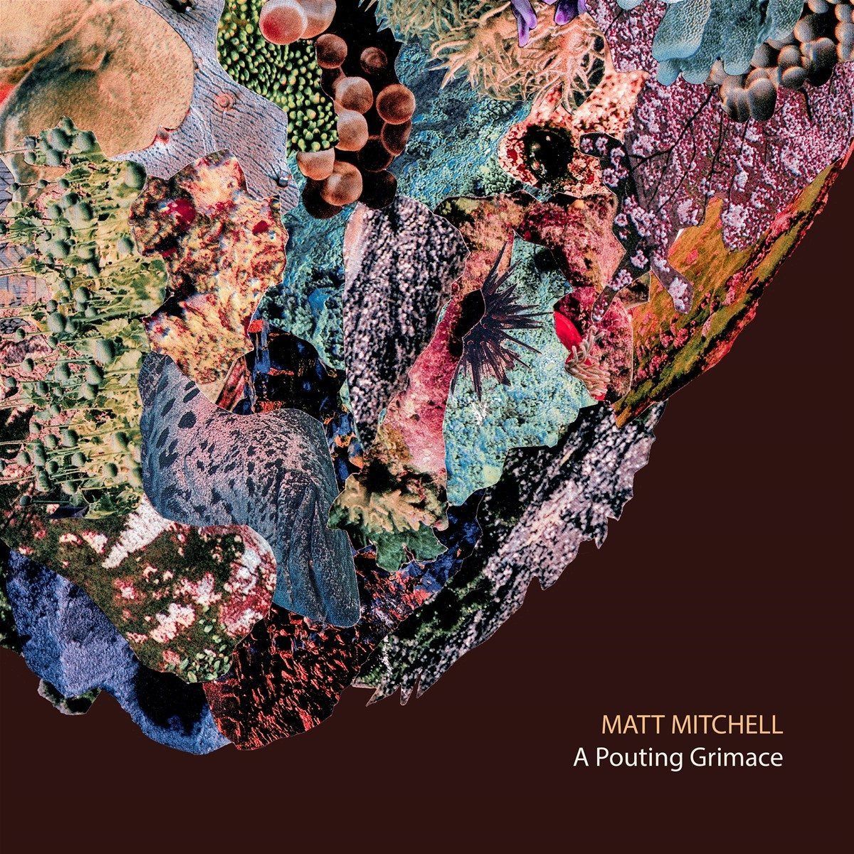 【CD】A Pouting Grimace