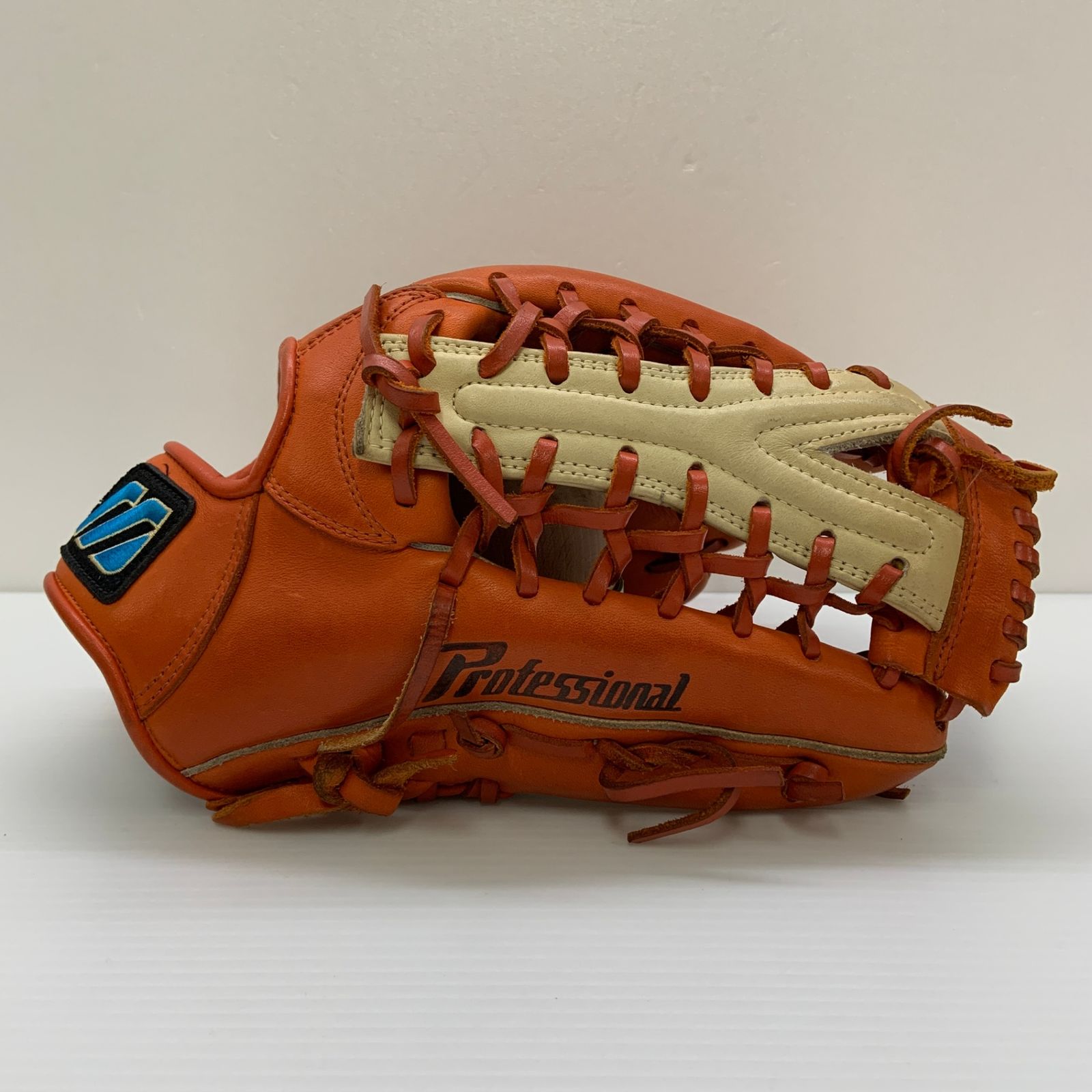 ミズノプロ グラブ ミズノ MIZUNO ミズノプロ mizunopro プロフェッショナル 2GN33117