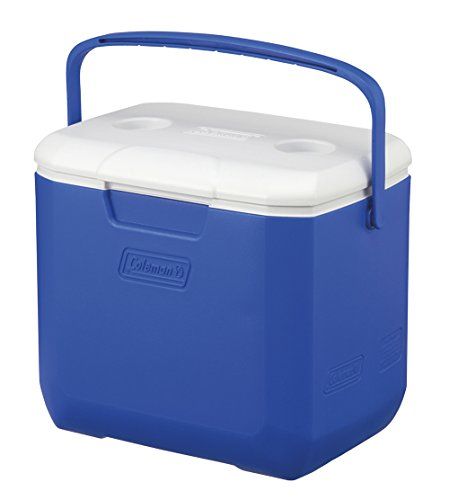 クーラーボックス エクスカーションクーラー 30QT 容量約28L アウトドア キャンプ 保冷2日 部活 釣り 防災 ピクニックe 654d5f56