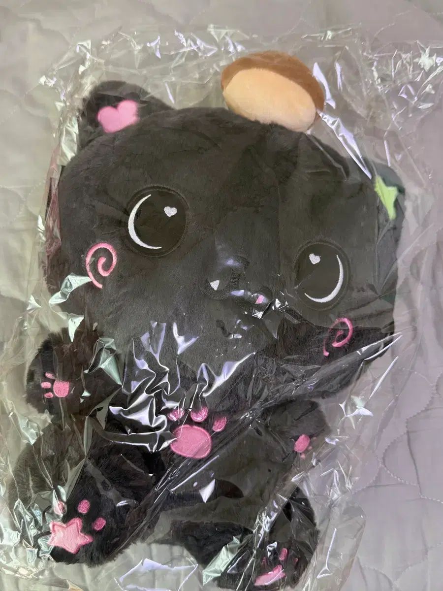 NCT WISH クーリー ぬいぐるみ 未開封 出品