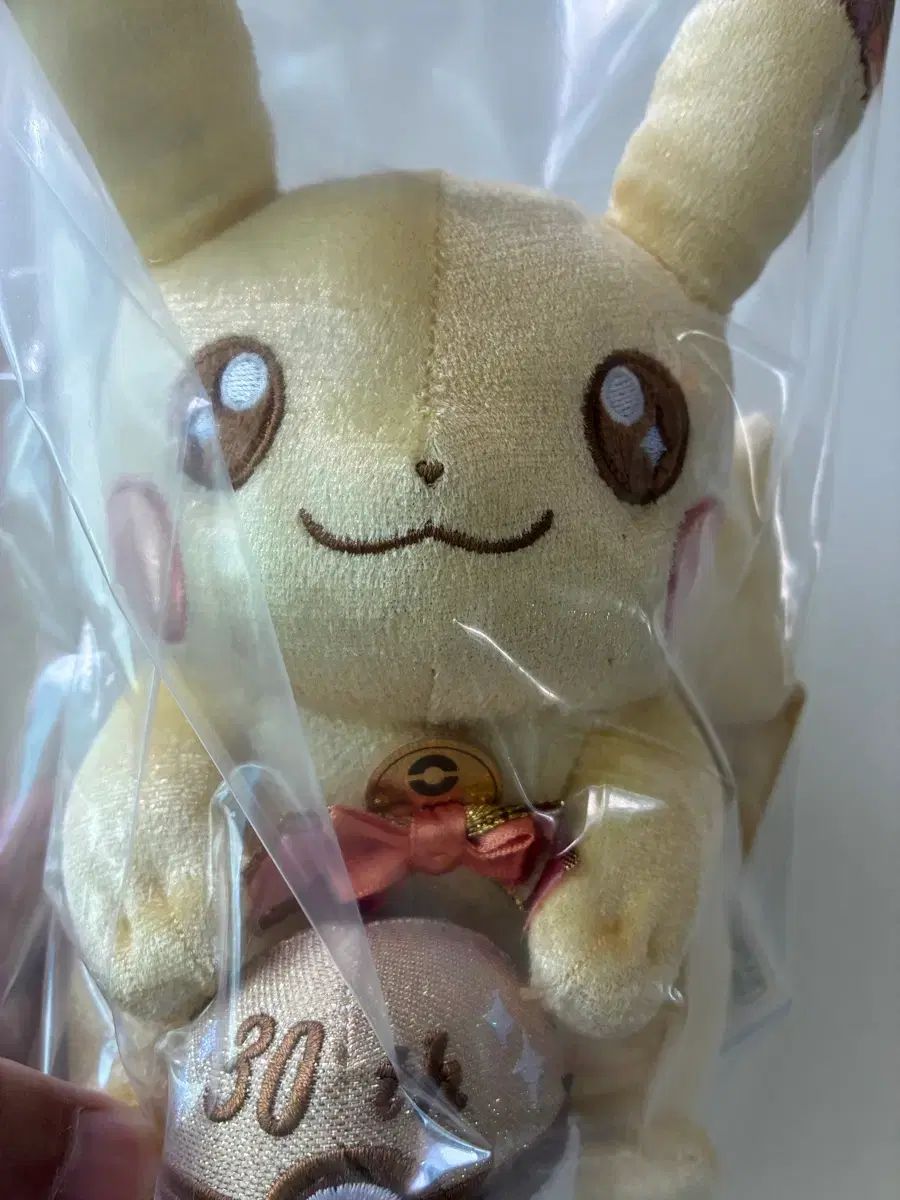 ポケットモンスター ピカチュウ 30周年キーホルダーぬいぐるみセット