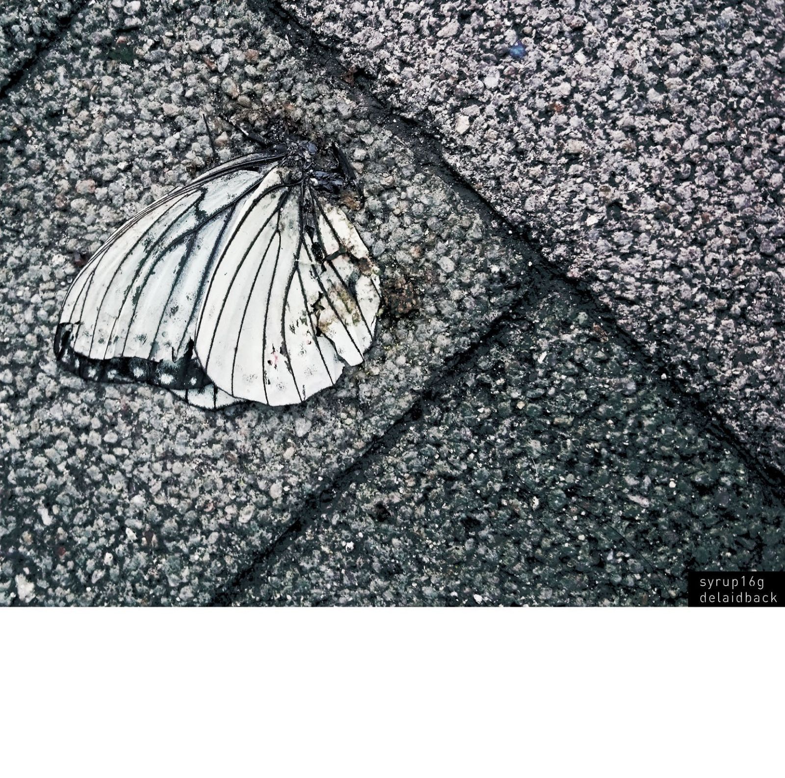 【CD】delaidback
