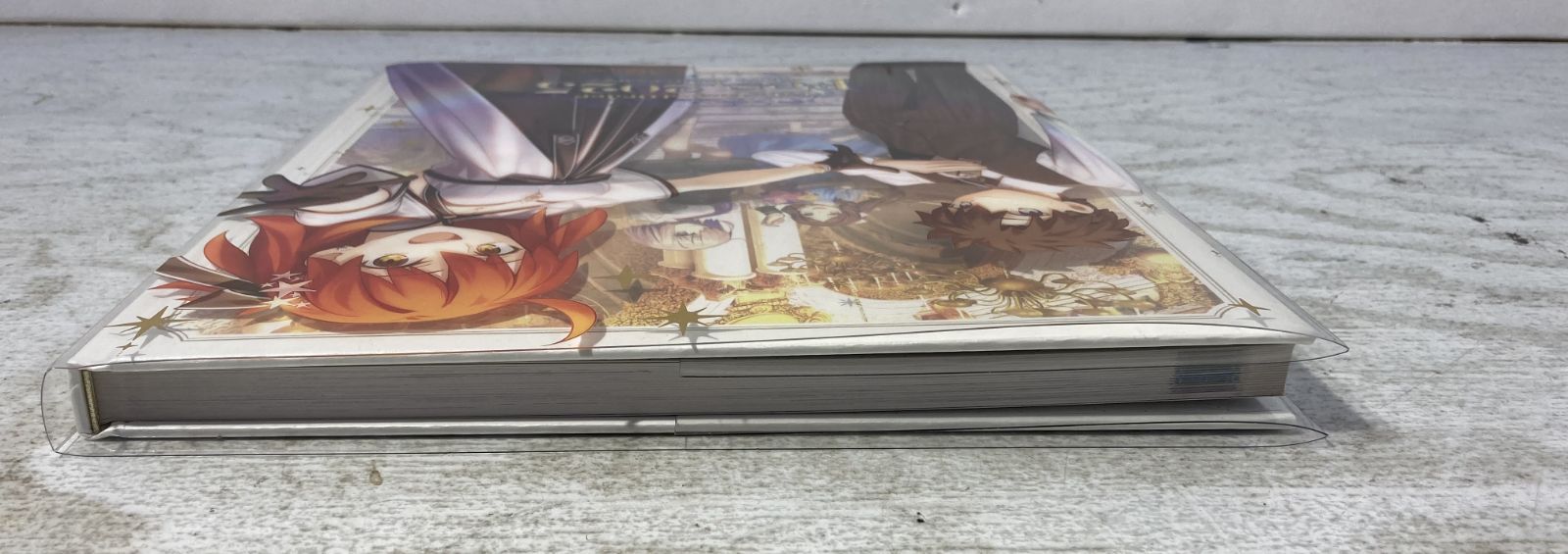紫波4-1-0528]【中古】書籍 FGO Fes.2025 10th Anniversary ALBUM