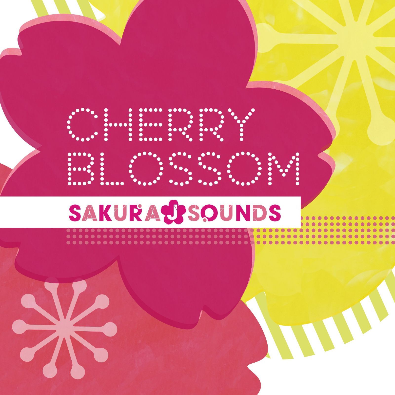 【CD】CHERRY BLOSSOM