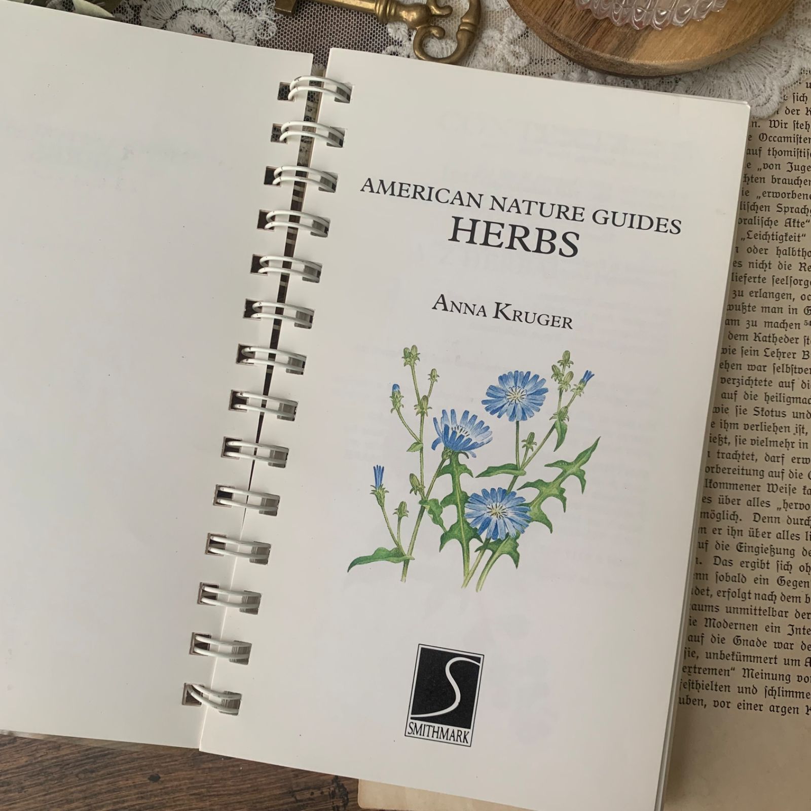 ヴィンテージ 洋書 『HERBS-American Nature Guides』植物図鑑