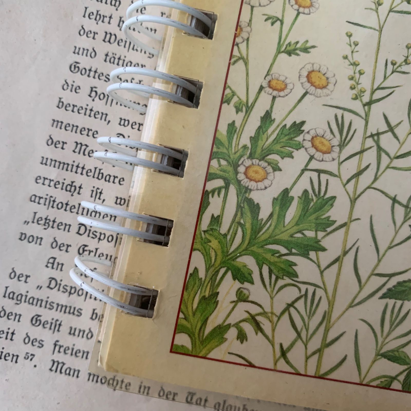ヴィンテージ 洋書 『HERBS-American Nature Guides』植物図鑑