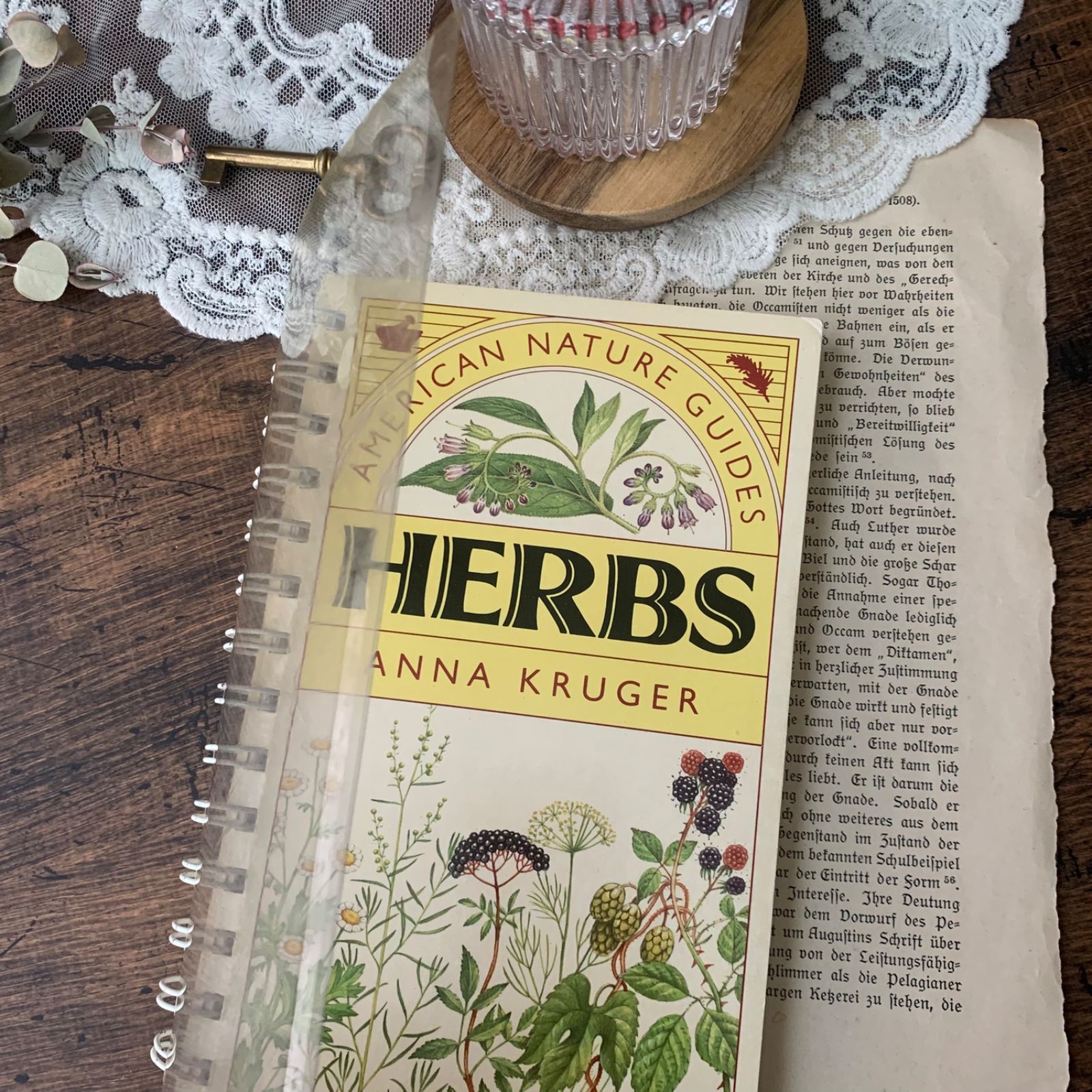 ヴィンテージ 洋書 『HERBS-American Nature Guides』植物図鑑