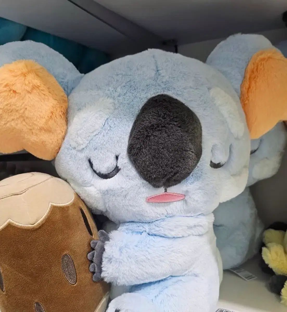 新品 ポケットモンスター ポケモンセンター ふわふわ ぬいぐるみ ジャララ ぬいぐるみ
