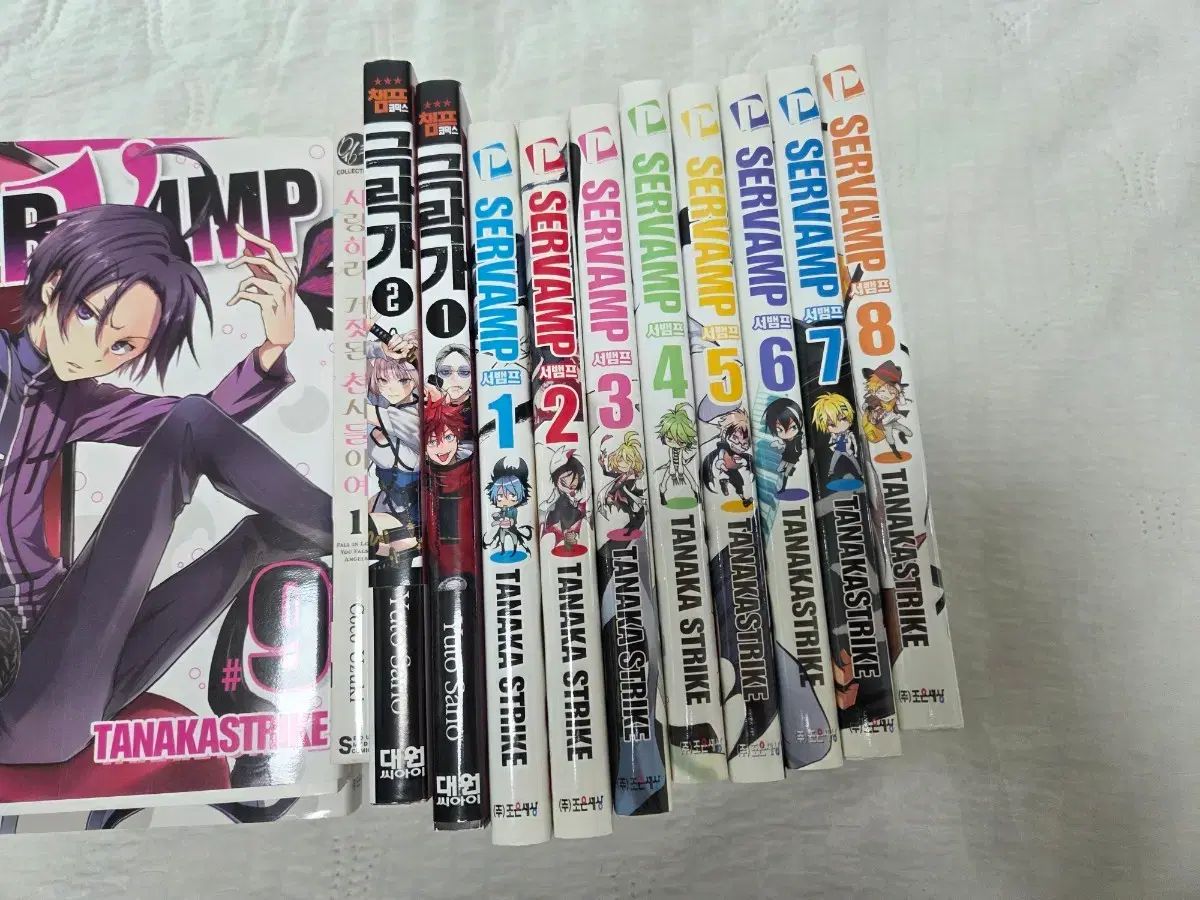 サーヴァンプ 外 漫画 まとめ 断捨離 出品