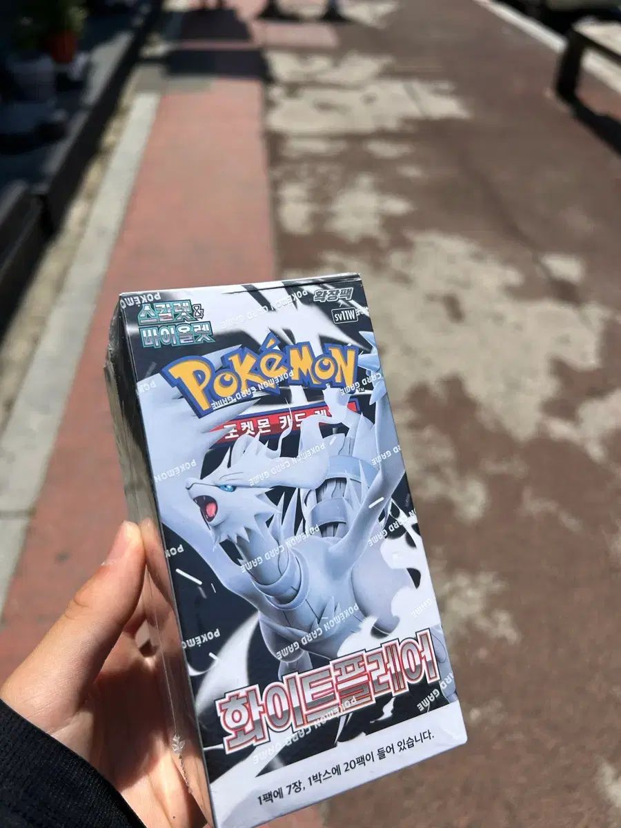 ポケットモンスターカード 白フレア 未開封