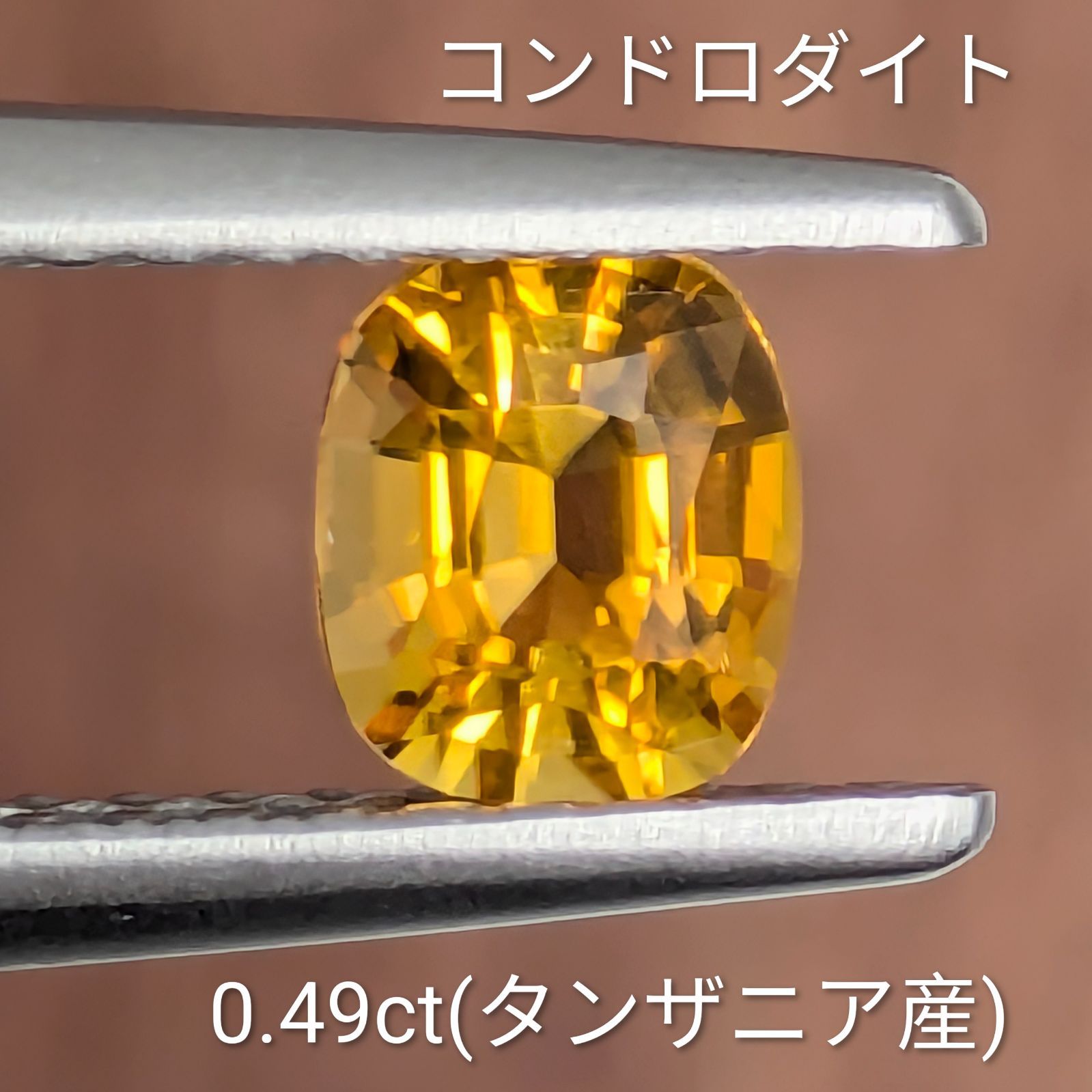 コンドロダイトルース 【0.49t】 PRO208679