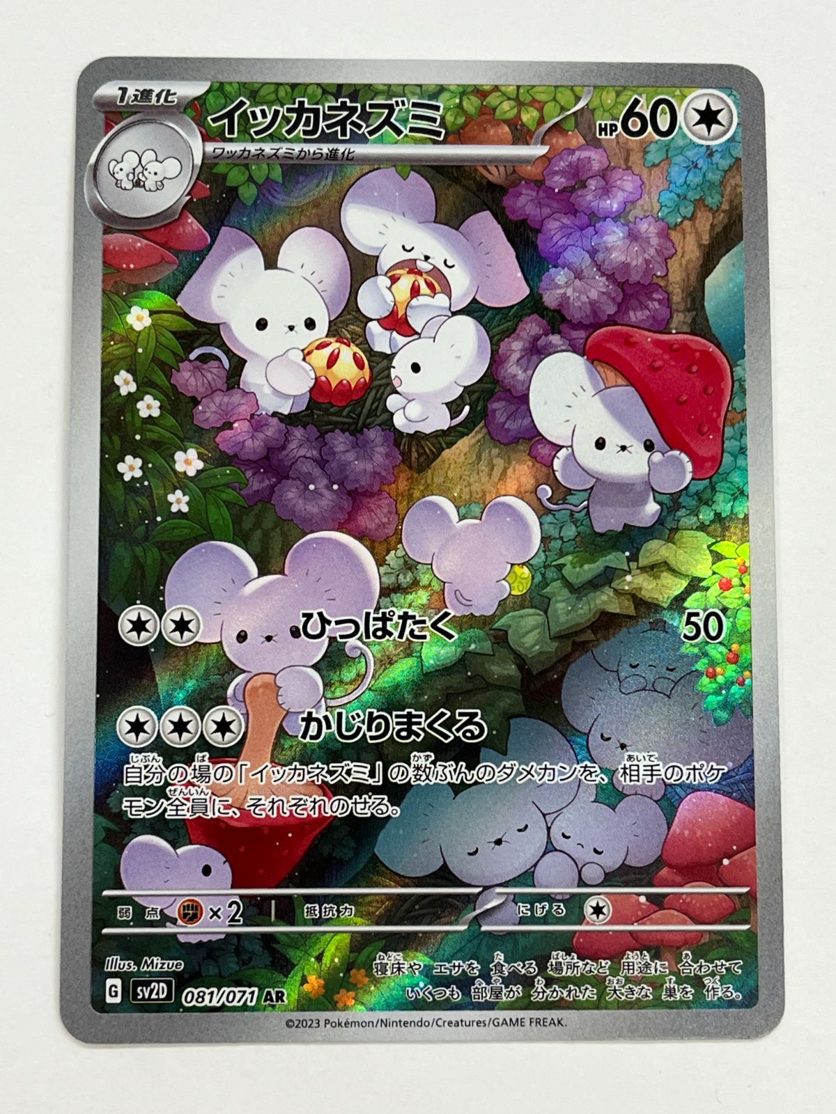 N080[PK]Y4729(ポケモンカード) イッカネズミ 081/071 AR やや傷や汚れ