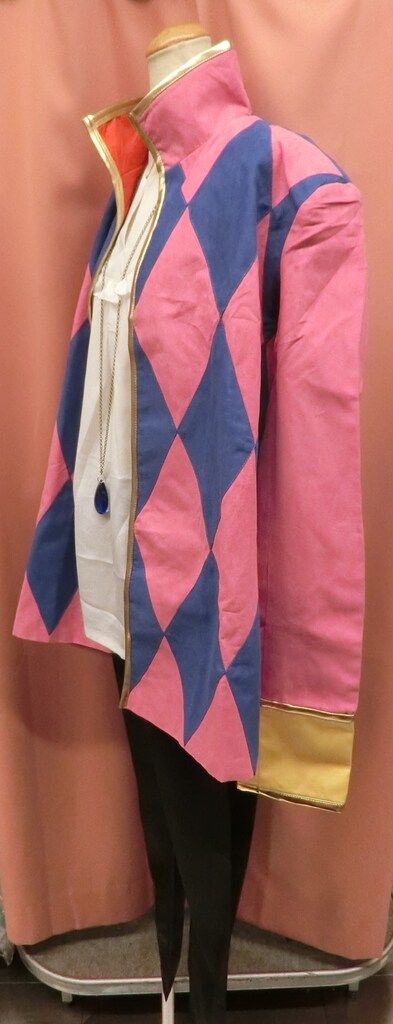ジブリ ハウルの動く城 ハウル 風 男性Mサイズ サークル製・未着用 コスプレ衣装