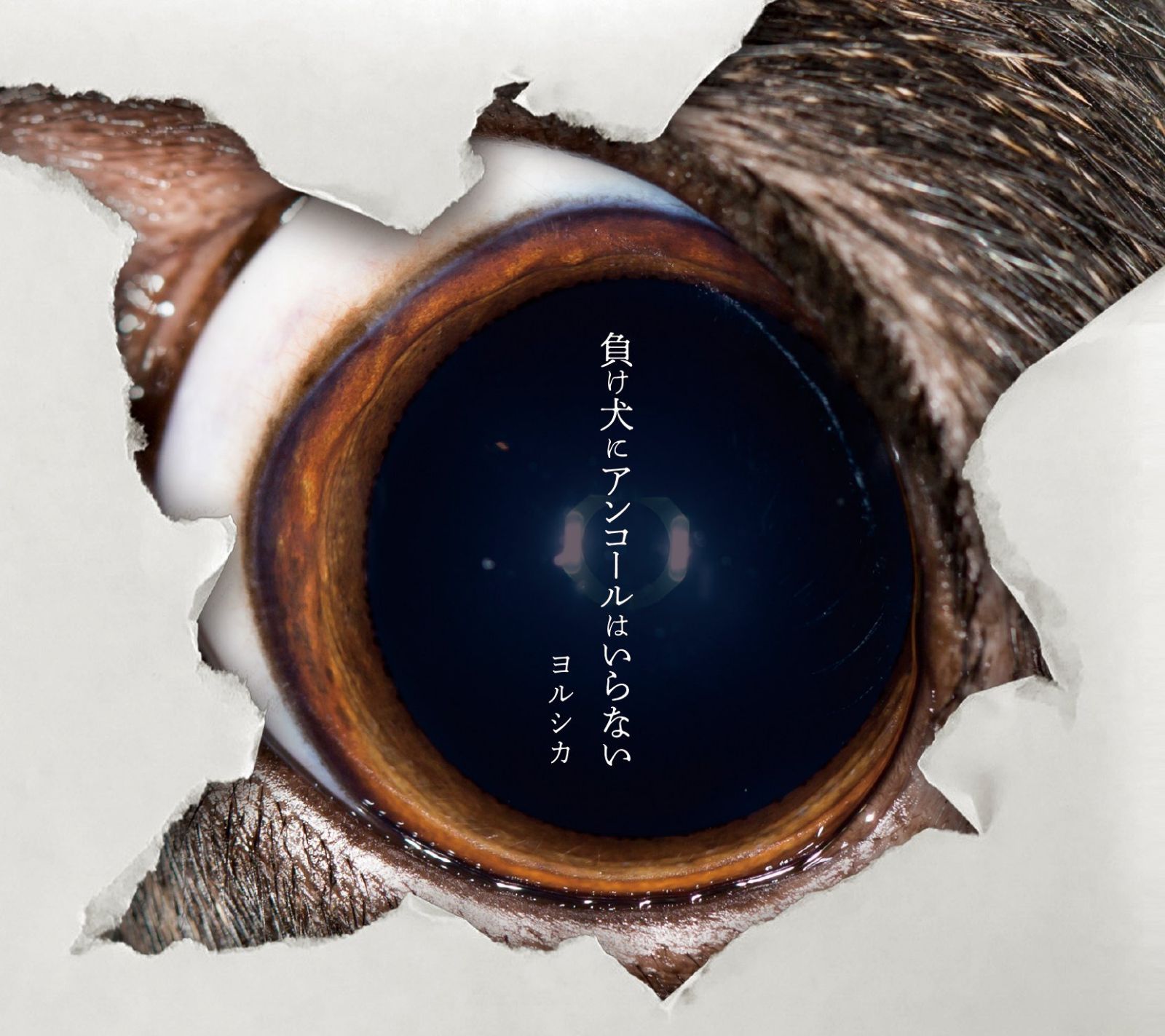 【CD】負け犬にアンコールはいらない(初回生産限定盤)