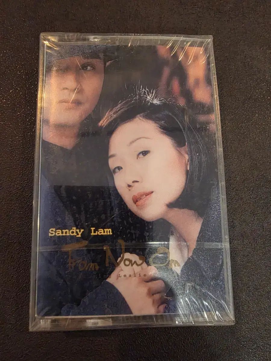 Sandy Lam 林憶蓮/張國榮 未開封 テープ