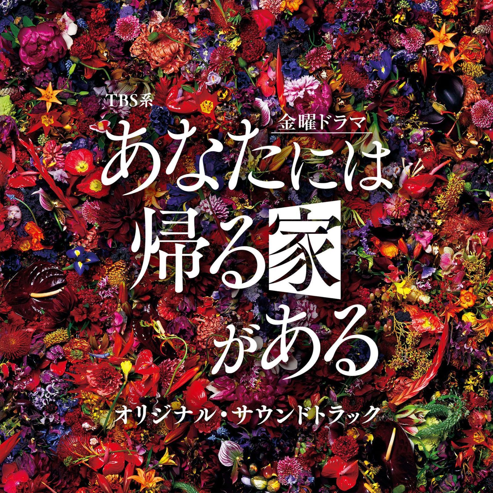 【CD】TBS系 金曜ドラマ「あなたには帰る家がある」オリジナル・サウンドトラック