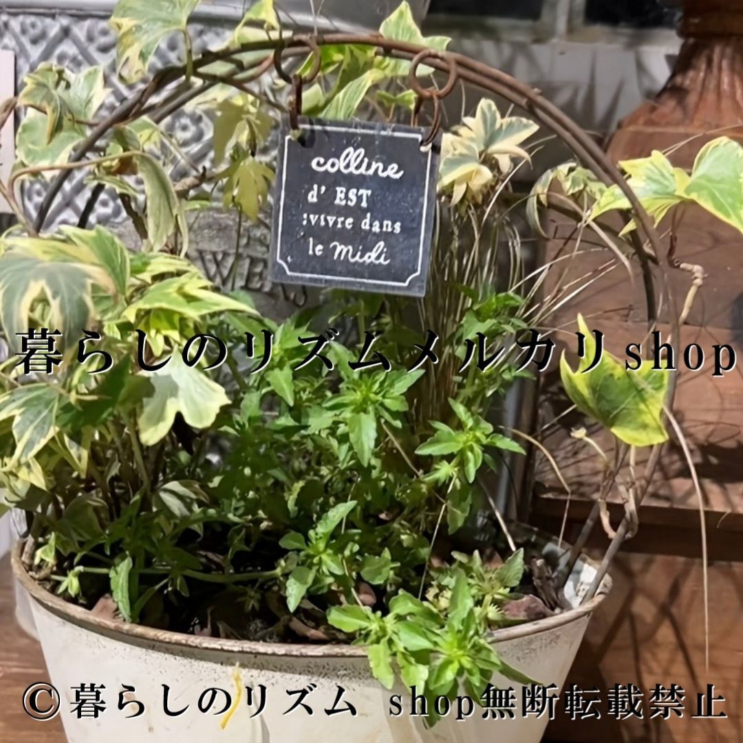 プランター 花鉢 フラワーポット 錬鉄製 植木鉢 ガーデンオーナメント 多肉植物 観葉植物 つる性植物 プランタースタンド ミニガーデン オブジェ アンティーク調 シャビーシック ガーデニング雑貨 バルコニー テラス 庭 玄関 アーチ橋型