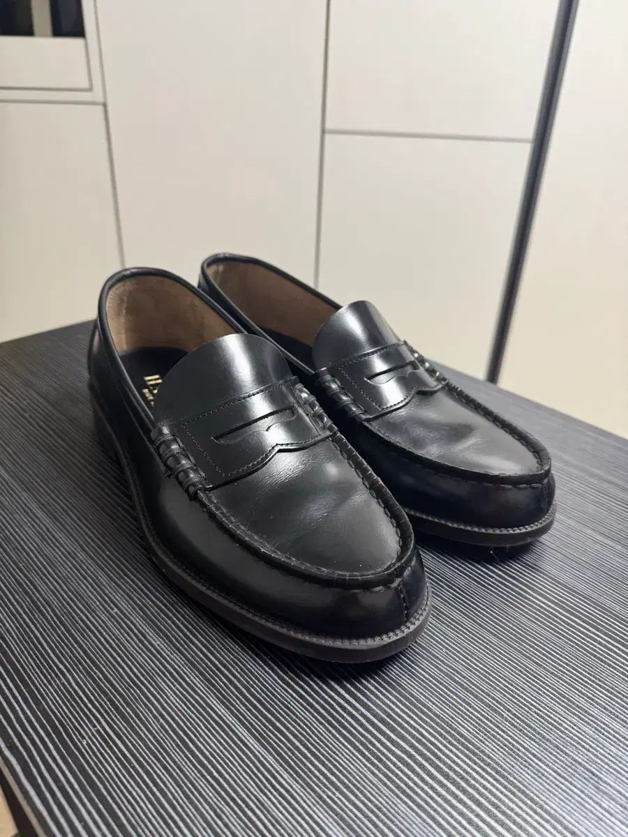 ハルタ 906 255 3E