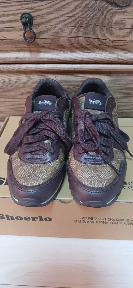COACH シグネチャー レディース スニーカー (235mm)